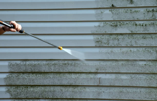 Professional Pressure Washing in Pecan Grove, TX
